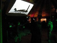 Digital Chemist Festival Proj(ect) - 5ime dition - 17/11/2010 - Nancy / Maxville (54) photo n9