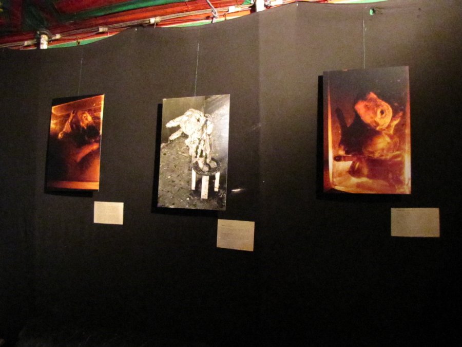 Exposition de photos et sculptures - Festival Proj(ect) - 5ième édition - 17/11/2010 - Nancy / Maxéville (54) - Photo n14