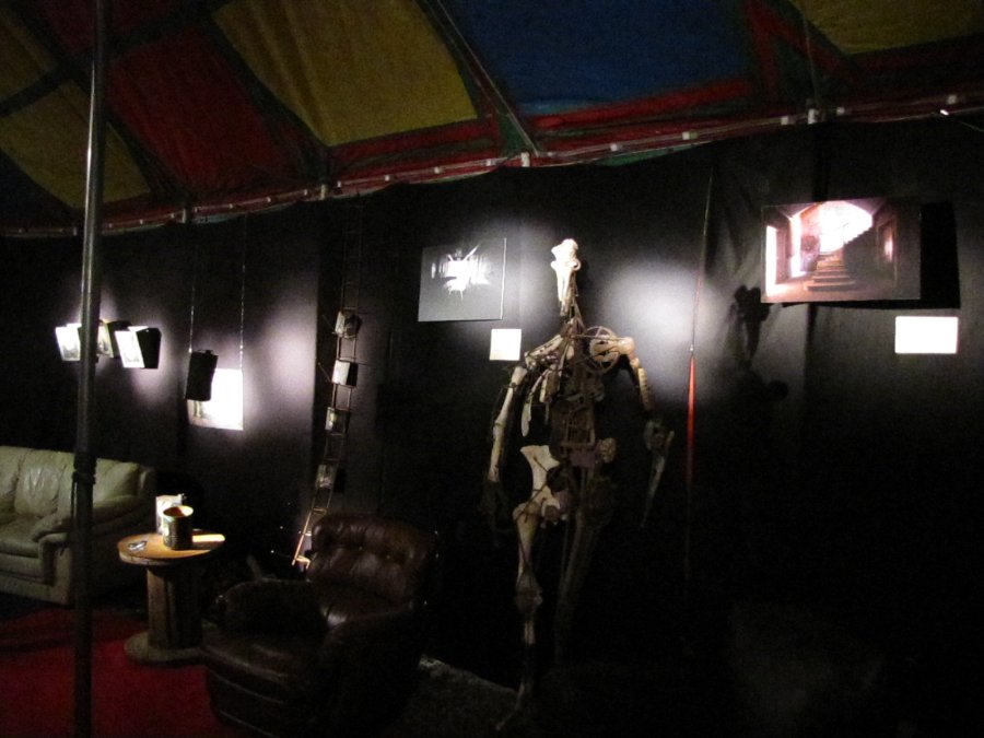 Exposition de photos et sculptures - Festival Proj(ect) - 5ième édition - 17/11/2010 - Nancy / Maxéville (54) - Photo n24