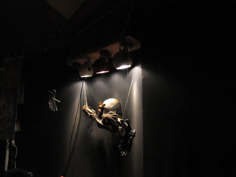 Exposition de photos et sculptures - Festival Proj(ect) - 5ième édition - 17/11/2010 - Nancy / Maxéville (54) - Photo n32