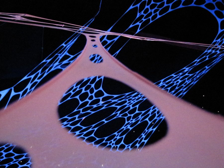 La deco par Psygana Invasion - Freaks Machine Retrospective - 18/02/2011 - Le Diamant Bleu à Fuans (25) - Photo n21
