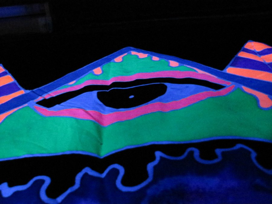La deco par Psygana Invasion - Freaks Machine Retrospective - 18/02/2011 - Le Diamant Bleu à Fuans (25) - Photo n30